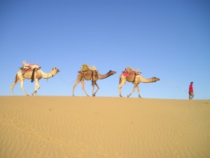 らくだが針の穴を通ることができるのか